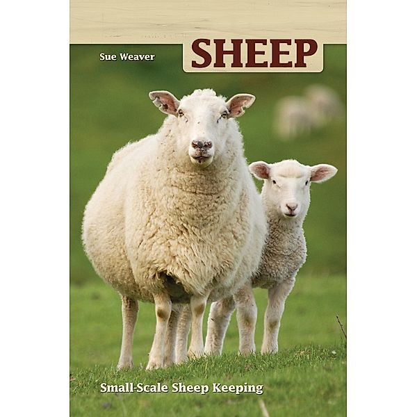 Sheep, Sue Weaver