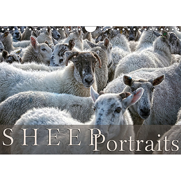 Sheep Portraits (Wall Calendar 2019 DIN A4 Landscape), Martina Cross