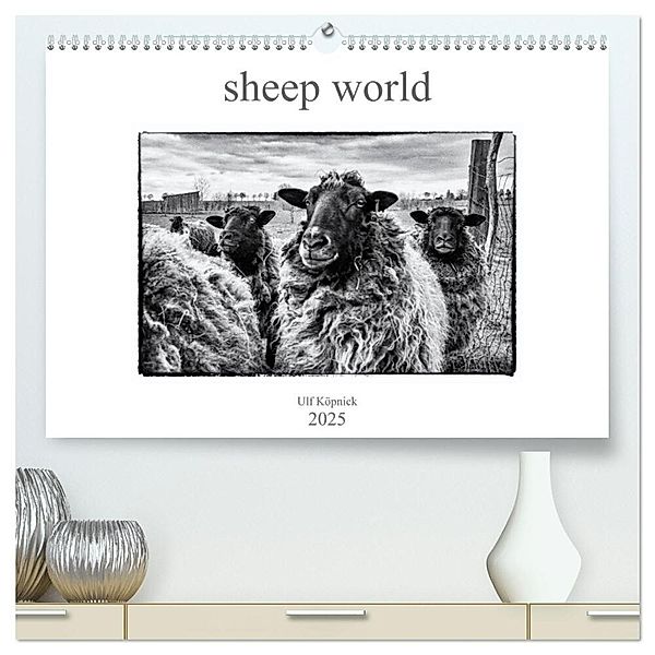 sheep world (hochwertiger Premium Wandkalender 2025 DIN A2 quer), Kunstdruck in Hochglanz, Calvendo, Ulf Köpnick