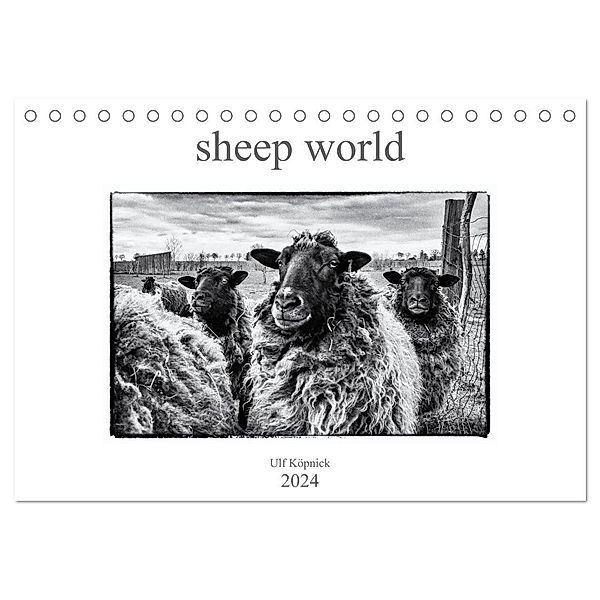sheep world (Tischkalender 2024 DIN A5 quer), CALVENDO Monatskalender, Ulf Köpnick