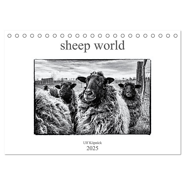 sheep world (Tischkalender 2025 DIN A5 quer), CALVENDO Monatskalender, Calvendo, Ulf Köpnick