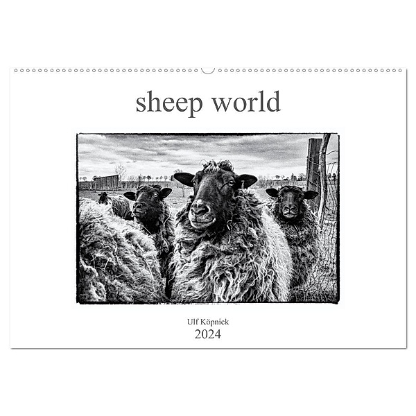 sheep world (Wandkalender 2024 DIN A2 quer), CALVENDO Monatskalender, Ulf Köpnick