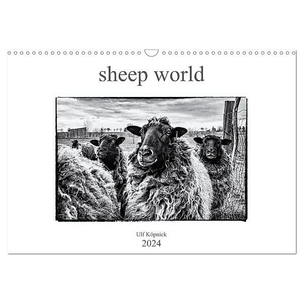 sheep world (Wandkalender 2024 DIN A3 quer), CALVENDO Monatskalender, Ulf Köpnick
