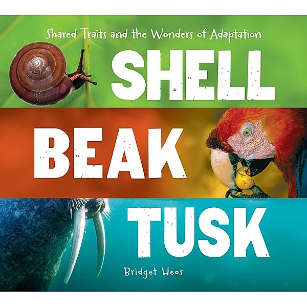 Shell, Beak, Tusk, Bridget Heos