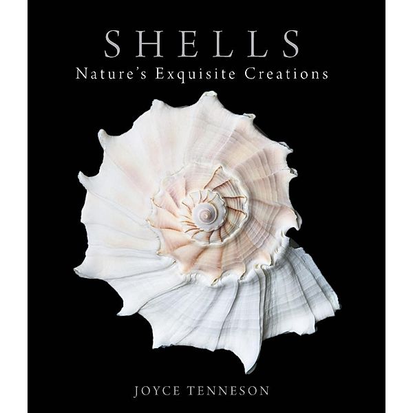 Shells, Joyce Tenneson