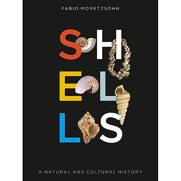 Shells, Fabio Moretzsohn