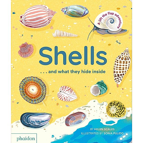 Shells... and what they hide inside, Helen Scales, Sonia Pulido
