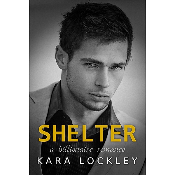 Shelter, A Billionaire Romance, Kara Lockley