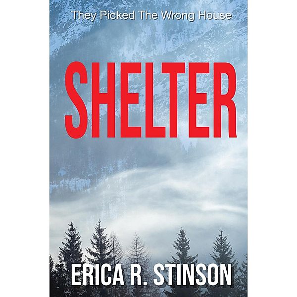 Shelter: A Psychological Suspense Thriller, Erica R. Stinson