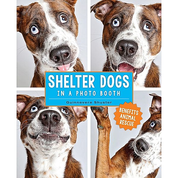 Shelter Dogs in a Photo Booth, Guinnevere Shuster