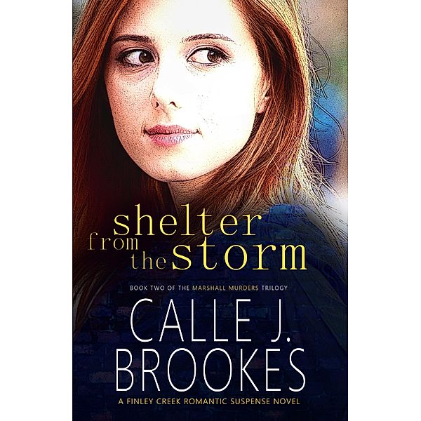 Shelter from the Storm (Finley Creek, #2) / Finley Creek, Calle J. Brookes