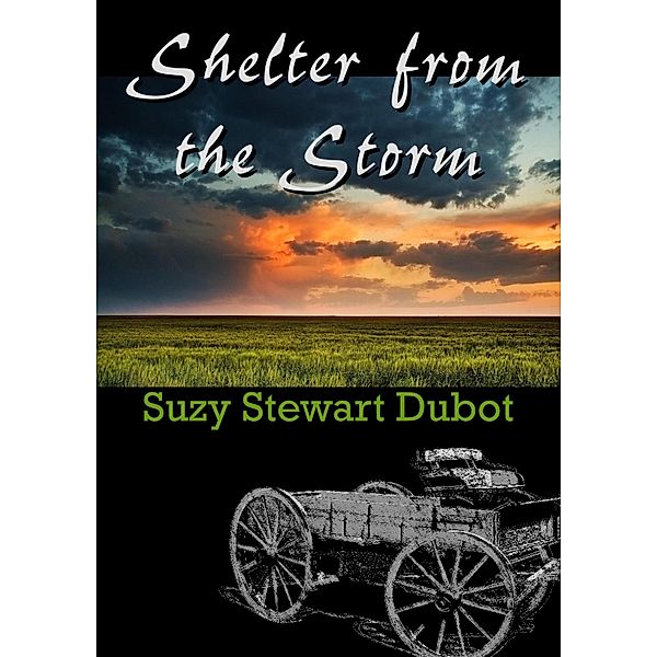 Shelter from the Storm / Suzy Stewart Dubot, Suzy Stewart Dubot