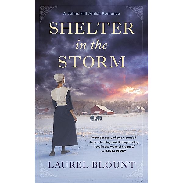 Shelter in the Storm / A Johns Mill Amish Romance Bd.1, Laurel Blount
