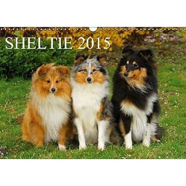 Sheltie 2015 (Wandkalender 2015 DIN A3 quer), Sigrid Starick