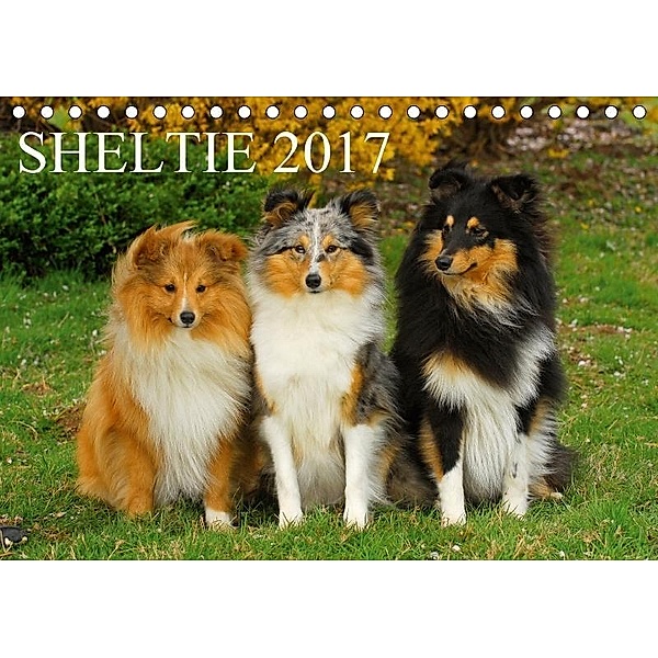 Sheltie 2017 (Tischkalender 2017 DIN A5 quer), Sigrid Starick