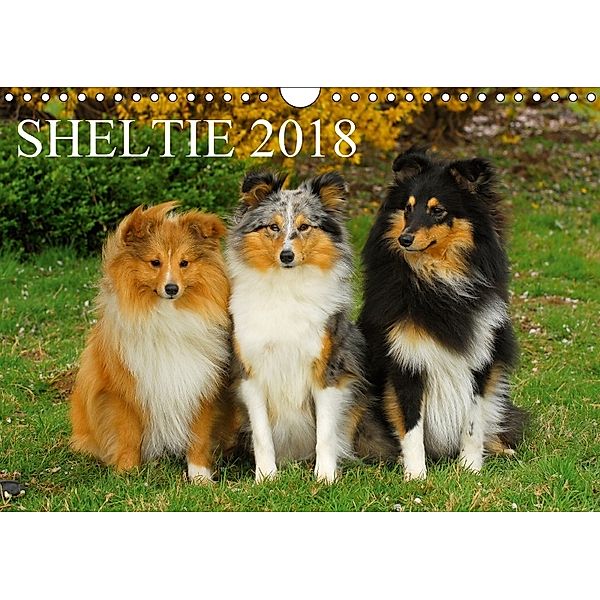 Sheltie 2018 (Wandkalender 2018 DIN A4 quer), Sigrid Starick