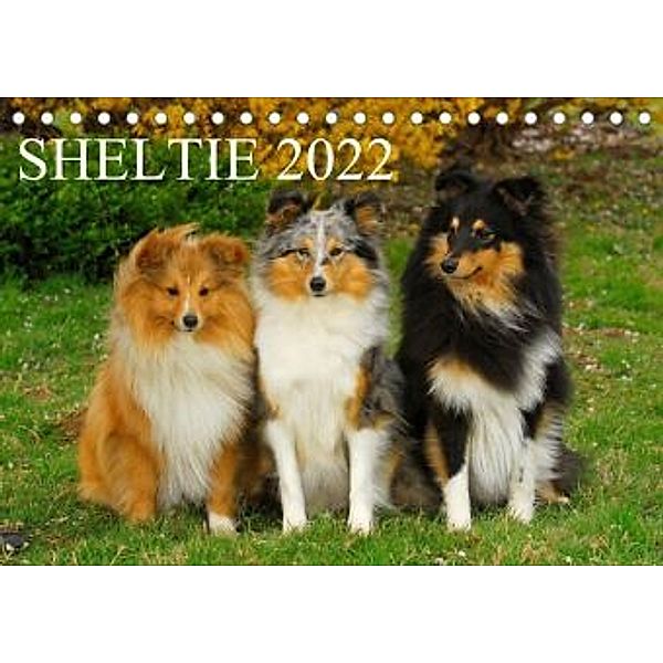 Sheltie 2022 (Tischkalender 2022 DIN A5 quer), Sigrid Starick