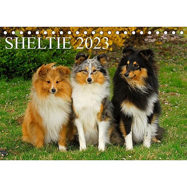 Sheltie 2023 (Tischkalender 2023 DIN A5 quer), Sigrid Starick