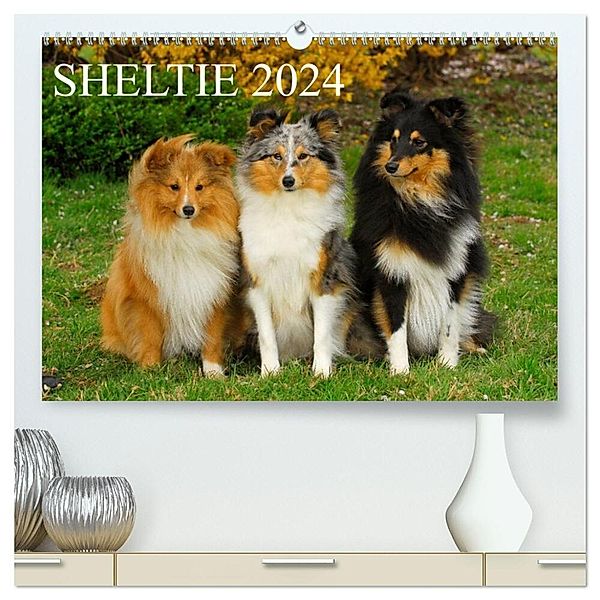 Sheltie 2024 (hochwertiger Premium Wandkalender 2024 DIN A2 quer), Kunstdruck in Hochglanz, Sigrid Starick