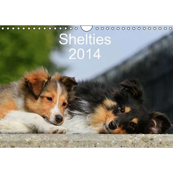 Shelties 2014 (Wandkalender 2014 DIN A4 quer), Marion Reiß-Seibert