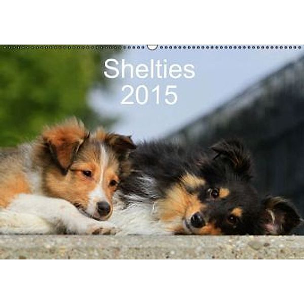 Shelties 2015 (Wandkalender 2015 DIN A2 quer), Marion Reiß - Seibert, Marion Reiß-Seibert