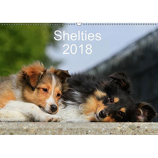 Shelties 2018 (Wandkalender 2018 DIN A2 quer), Marion Reiß - Seibert