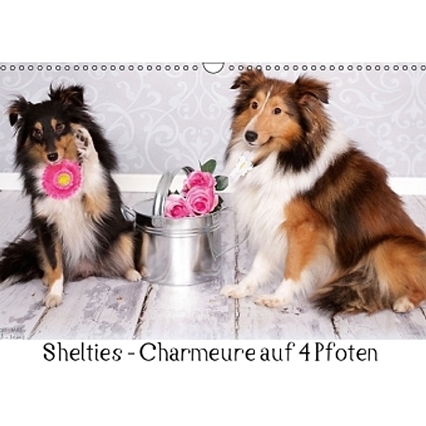 Shelties : Charmeure auf 4 Pfoten (Wandkalender 2015 DIN A3 quer), Marion Reiß-Seibert