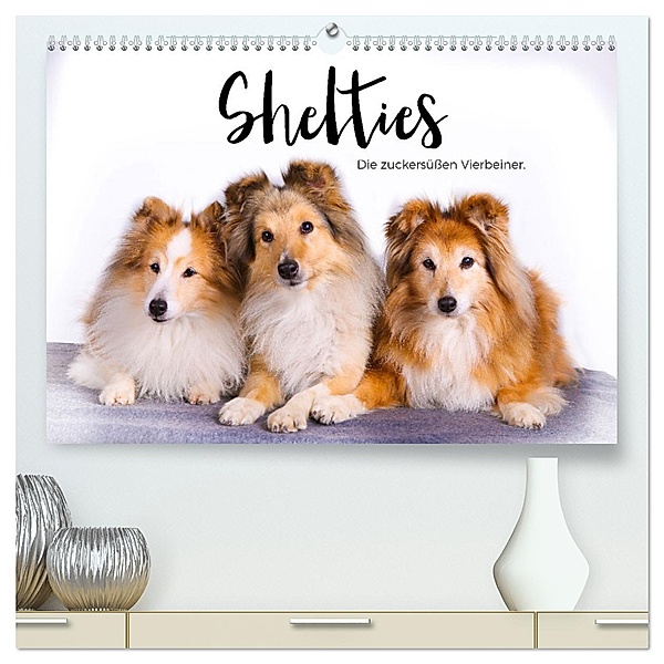 Shelties - Die zuckersüssen Vierbeiner. (hochwertiger Premium Wandkalender 2025 DIN A2 quer), Kunstdruck in Hochglanz, Calvendo, M. Scott