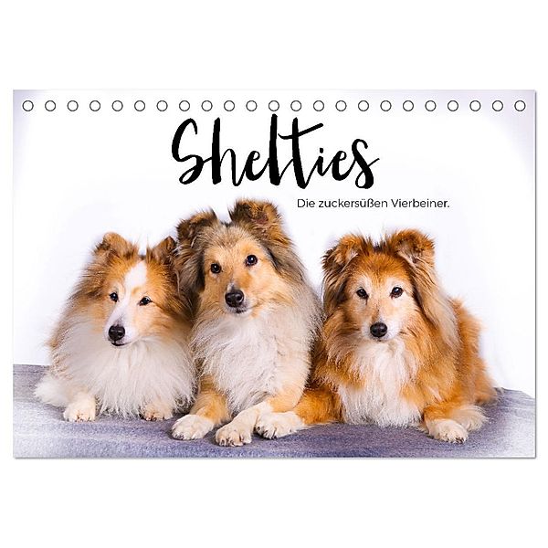 Shelties - Die zuckersüßen Vierbeiner. (Tischkalender 2024 DIN A5 quer), CALVENDO Monatskalender, M. Scott