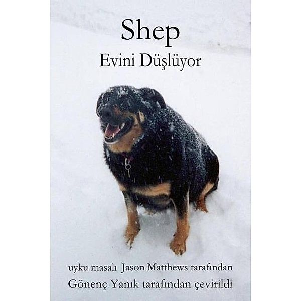 Shep Evini Düslüyor, Jason Matthews