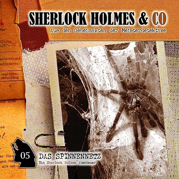 Sherlock Holmes & Co - 5 - Das Spinnennetz, Markus Winter