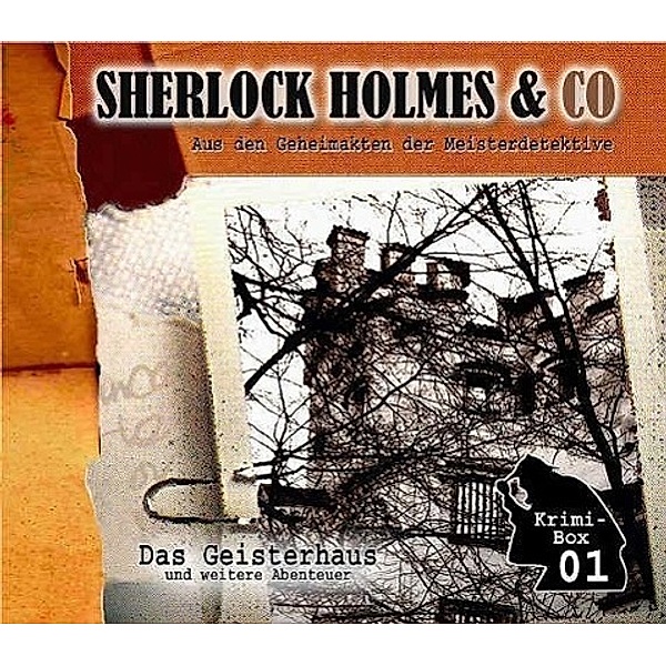 Sherlock Holmes & Co  - Das Geisterhaus, Arthur Conan Doyle