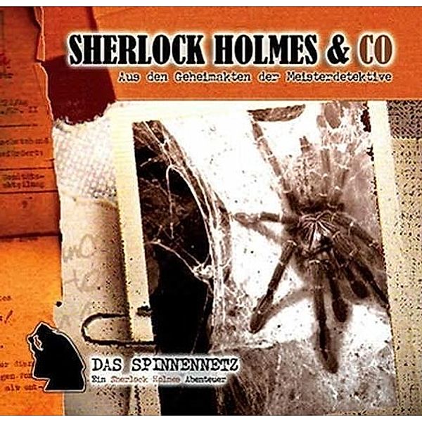 Sherlock Holmes & Co - Das Spinnennetz, Markus Winter