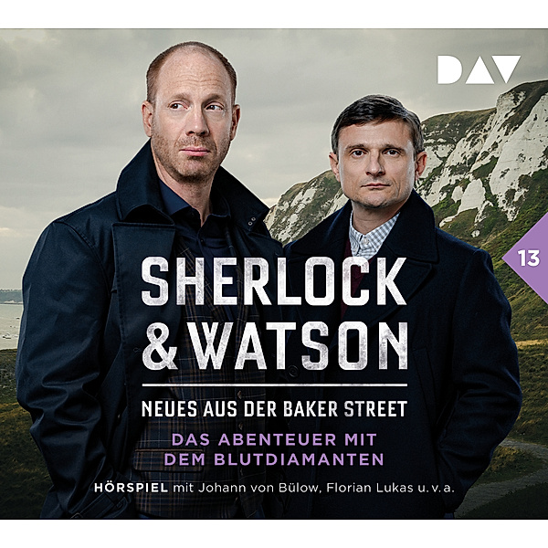 Sherlock & Watson - Neues aus der Baker Street: Das Abenteuer mit dem Blutdiamanten (Fall 13),2 Audio-CD, Viviane Koppelmann