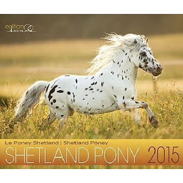 Shetland Pony 2015