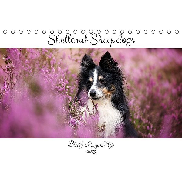 Shetland Sheepdogs Blacky, Anry, Mojo 2023 (Tischkalender 2023 DIN A5 quer), Madlen Kudla
