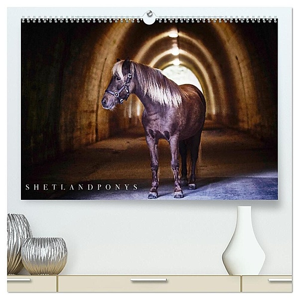 Shetlandpony Kalender (hochwertiger Premium Wandkalender 2024 DIN A2 quer), Kunstdruck in Hochglanz, Nina D. Fotografie
