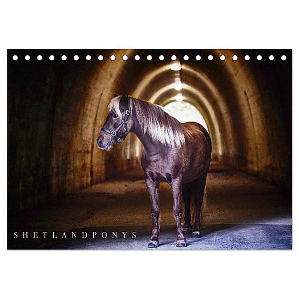 Shetlandpony Kalender (Tischkalender 2024 DIN A5 quer), CALVENDO Monatskalender, Nina D. Fotografie