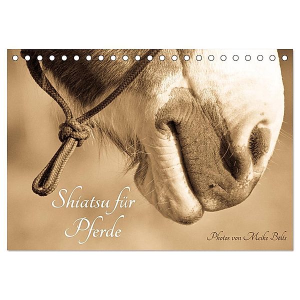 Shiatsu für Pferde - Photos von Meike Bölts (Tischkalender 2024 DIN A5 quer), CALVENDO Monatskalender, Meike Bölts