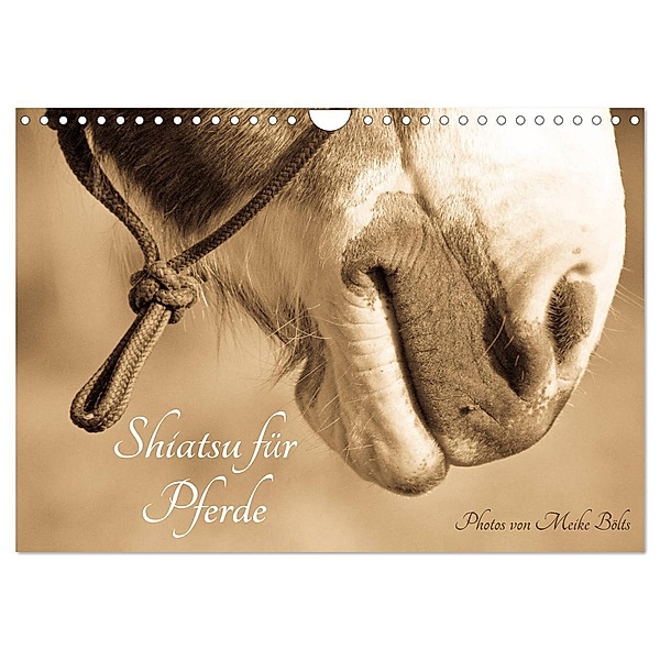 Shiatsu für Pferde - Photos von Meike Bölts (Wandkalender 2024 DIN A4 quer), CALVENDO Monatskalender, Meike Bölts