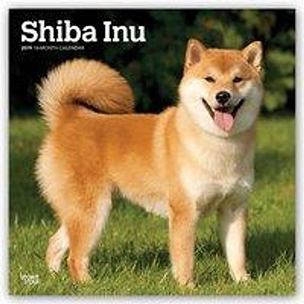 Shiba Inu 2019 - 18-Monatskalender mit freier DogDays-App