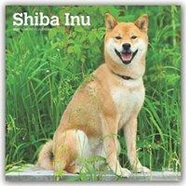 Shiba Inu 2020, BrownTrout Publisher