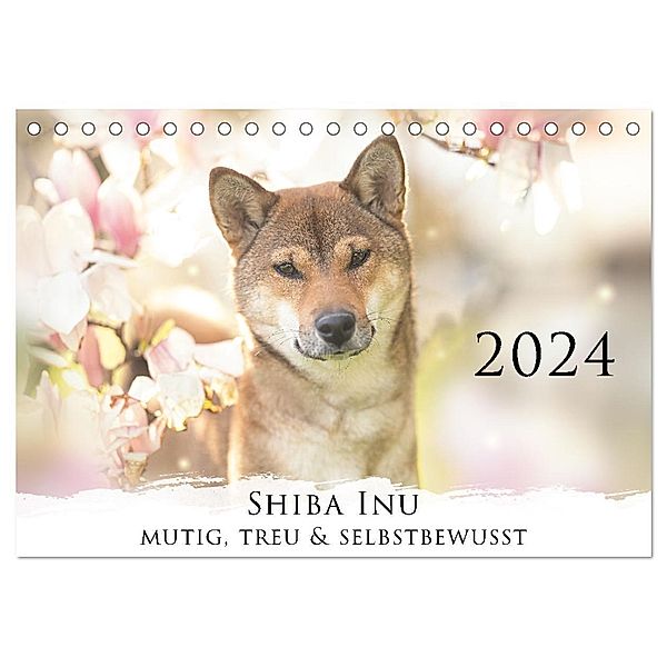 Shiba Inu - mutig, treu, selbstbewusst (Tischkalender 2024 DIN A5 quer), CALVENDO Monatskalender, Tamashinu Photography
