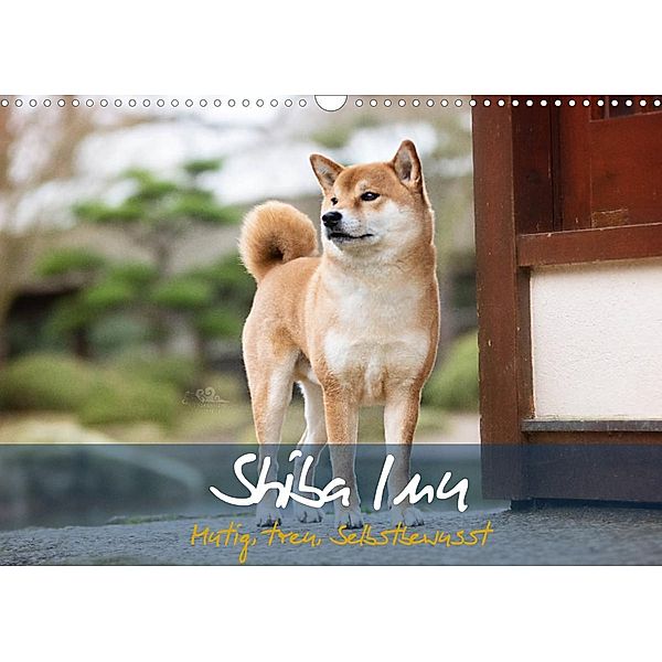 Shiba Inu - mutig, treu, selbstbewusst (Wandkalender 2022 DIN A3 quer), Tamashinu Photography