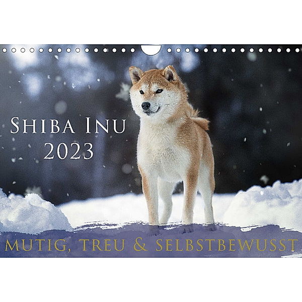 Shiba Inu - mutig, treu, selbstbewusst (Wandkalender 2023 DIN A4 quer), Tamashinu Photography