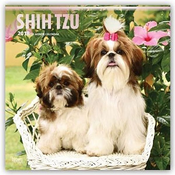 Shih Tzu 2018 - 18-Monatskalender mit freier DogDays-App, BrownTrout Publisher
