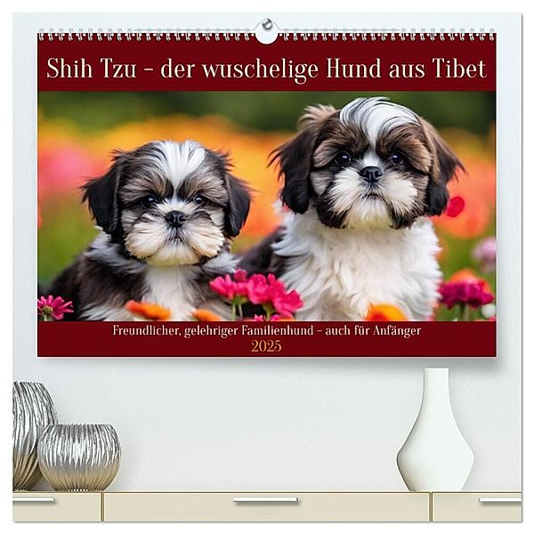 Shih Tzu - der wuschelige Hund aus Tibet (hochwertiger Premium Wandkalender 2025 DIN A2 quer), Kunstdruck in Hochglanz, Calvendo, Claudia Kleemann