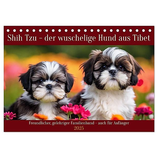 Shih Tzu - der wuschelige Hund aus Tibet (Tischkalender 2025 DIN A5 quer), CALVENDO Monatskalender, Calvendo, Claudia Kleemann