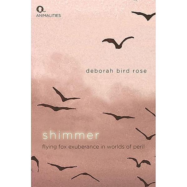 Shimmer, Deborah Bird Rose
