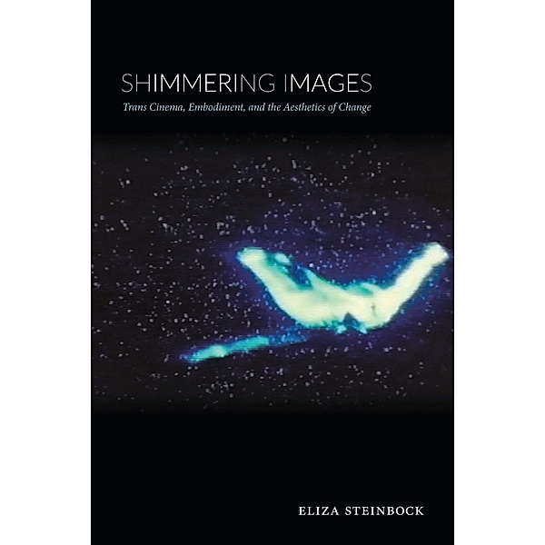 Shimmering Images, Steinbock Eliza Steinbock